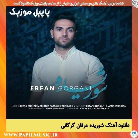 Erfan Gorgani Shooride دانلود آهنگ شوریده از عرفان گرگانی